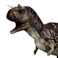 carnotaurus dinosaur