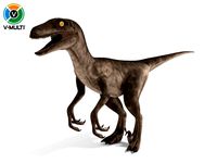 velociraptor
