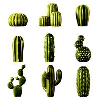 ceramic cactus set