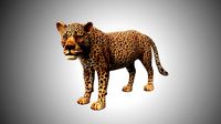 3d rigged low poly leopard model