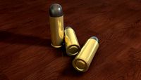 Bullet Revolver ammo 1875 wild west