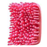 Intestinal Villi