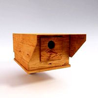 CCtv camera shape bird house 3d model