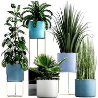 plant por