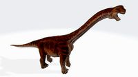 Camarasaurus