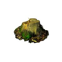 Forest Tree Stump 4K -Part 3-