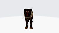 Tiger 3d