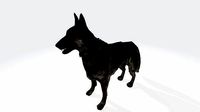 German shepherd