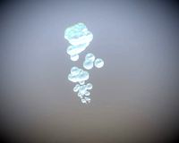 bubbles
