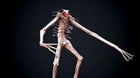 Undead