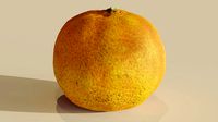 Tangerine 1 Photorealistic
