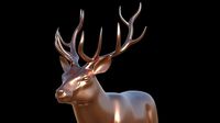 deer animal
