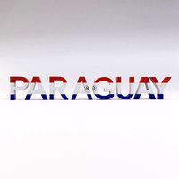 Paraguay country Name text 3d model