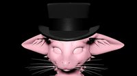 Top hat