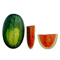 watermelon 02
