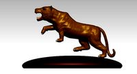 tiger