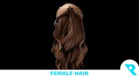 Realistic Female Hair