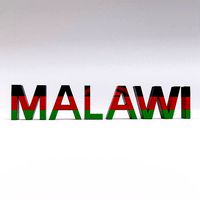 Malawi country Name text 3d model