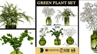 GREEN PLANT SET