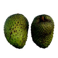 soursop