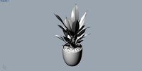 potted plants