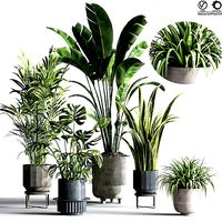 IndoorPlantSet34