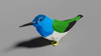 low poly hummingbird