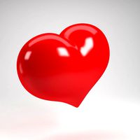heart