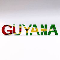 Guyana country Name low and high poly 3d model