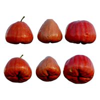 water apple