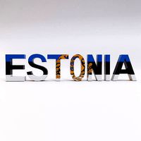 Estonia country name text 3d model
