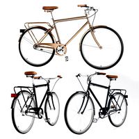 bike vintage roadster