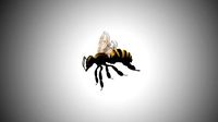 bee low poly rigged game ready