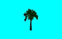 tree arvore 3d