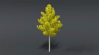 cartoon style tree