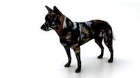 cute dog