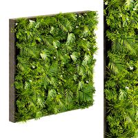 Collection plant vol 359 - fitowall - ertical - leaf