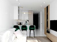 Cozy kitchen-living room