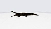 Sarcosuchus with animation