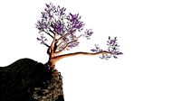 Fantasy tree with terrain