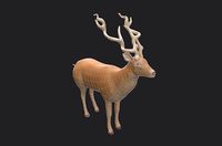 Stylized Deer Game Ready 3D Model