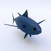 Tuna fish low poly 3d model