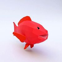 Red drum fish low poly 3d model