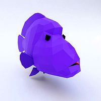 Napoleon fish low poly 3d model