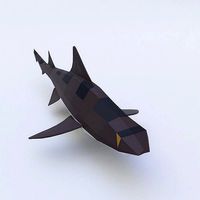 Leopard shark fish low poly 3d model