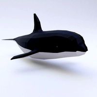 Killer Whale fish low poly 3d model