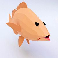 Common carp fish 3d model