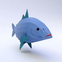 Carp fish 3d model