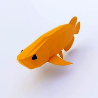 Asian arowana fish low poly 3d model
