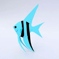 Fish 3d model